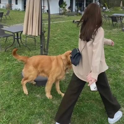 气球农场
